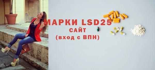 прущие грибы Беломорск