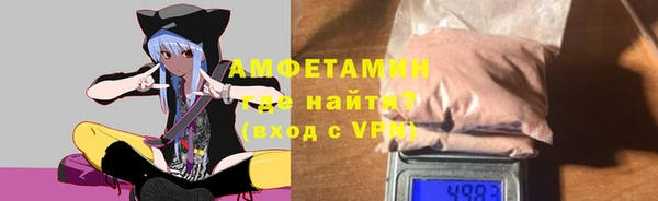 прущие грибы Беломорск