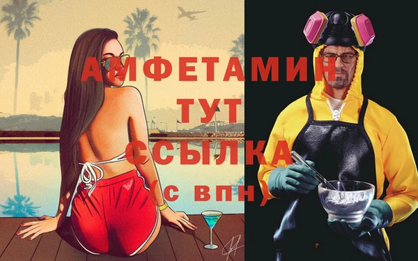 прущие грибы Беломорск