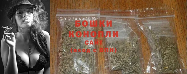 ГАЛЛЮЦИНОГЕННЫЕ ГРИБЫ Богданович