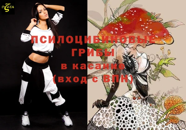 ГАЛЛЮЦИНОГЕННЫЕ ГРИБЫ Богданович