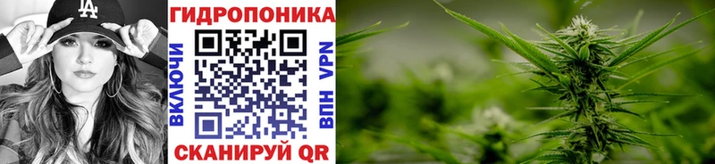 Бошки Шишки гибрид  Невель 